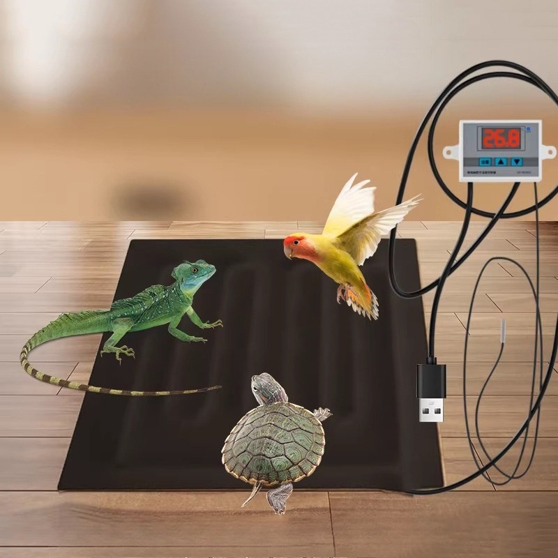 Tappetino Riscaldante USB per  - Reptile Heating Mat recensione e prezzo