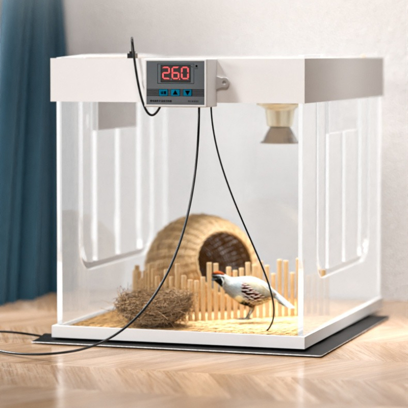 Tappetino Riscaldante USB per  - Reptile Heating Mat recensione e prezzo