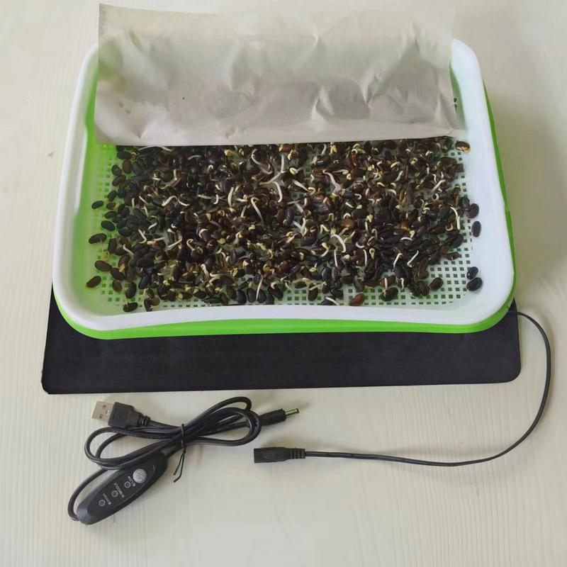 Tappetino riscaldante per pian - Reptile Heating Mat recensione e prezzo
