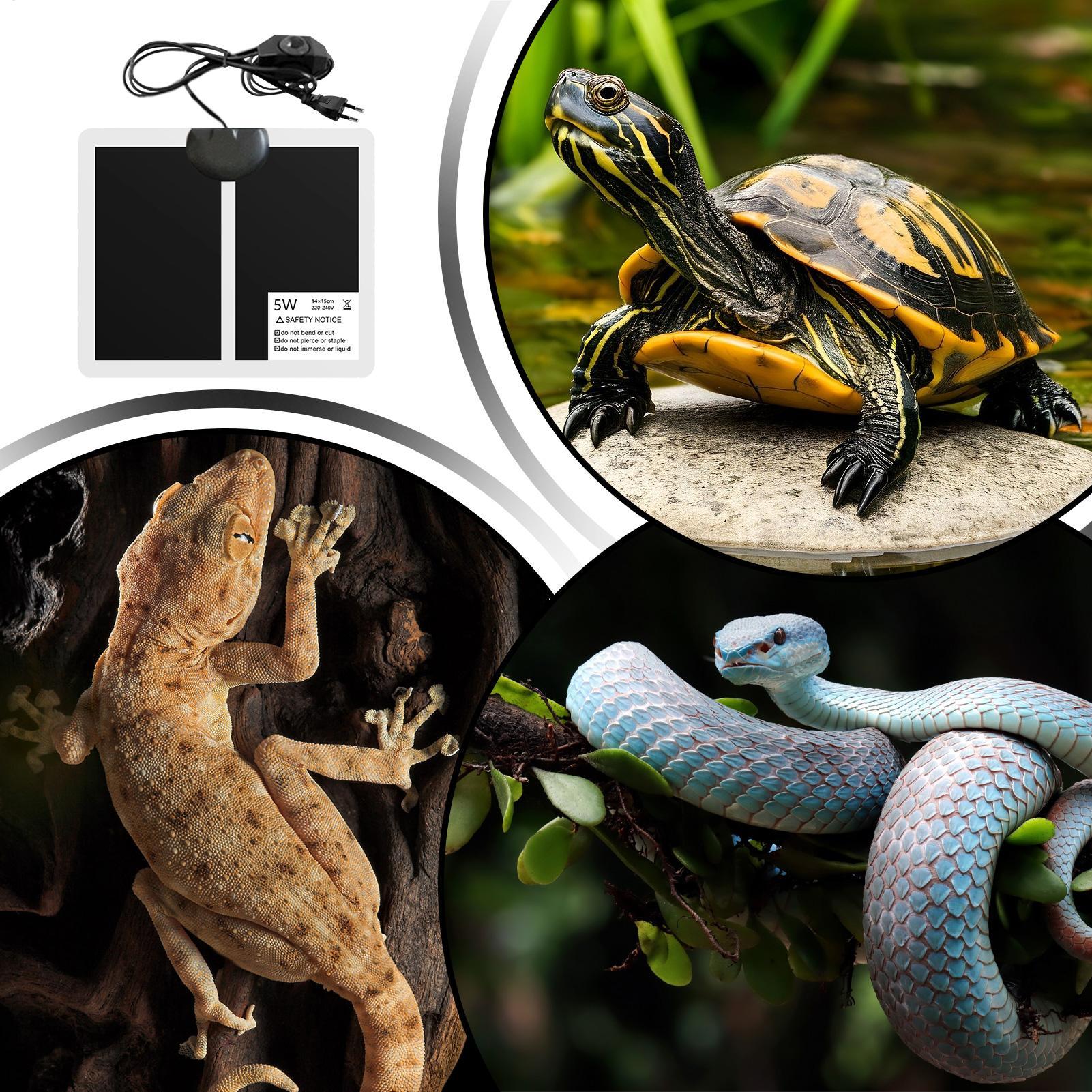 Tappetino Riscaldante per Rett - Reptile Heating Mat recensione e prezzo